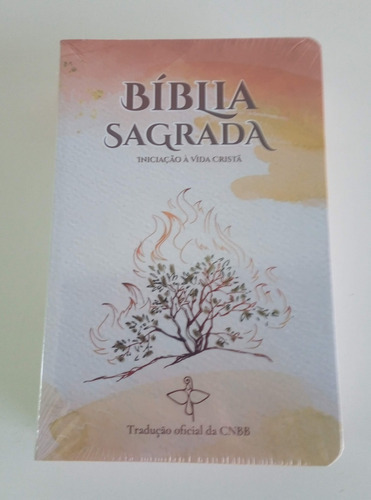 Bíblia Sagrada - Edição Especial - Iniciação à vida Cristã, de Cnbb., vol. 1. Editora CNBB Edições, capa mole em português, 2021