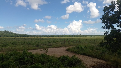 Te Vendo Finca/monte Plata/cerca De La Autovia De Samana.