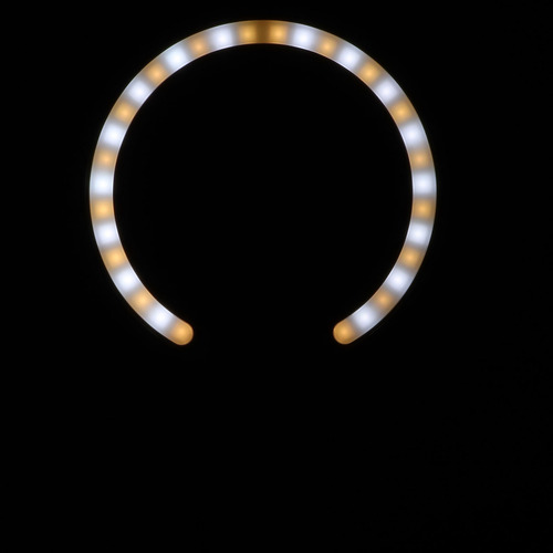 Lupa Portátil Con Iluminación Led De 34 Led Para Leer 2.5x