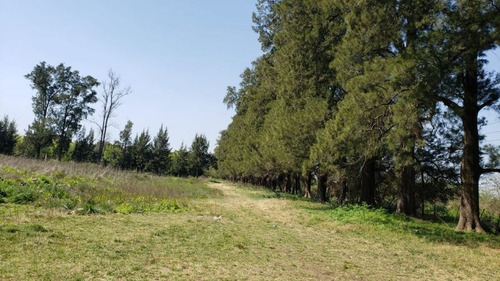 Imagen 1 de 3 de Campo En Venta En Merlo