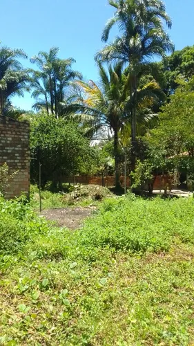 Vendo Lotes De Terreno Em Cotijuba Belém Pará
