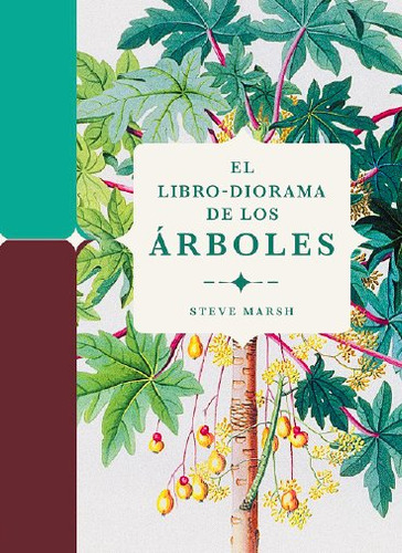 El Libro Diorama De Los Arboles, De Marsh, Steve. Editorial Folioscopio, Tapa Dura En Español