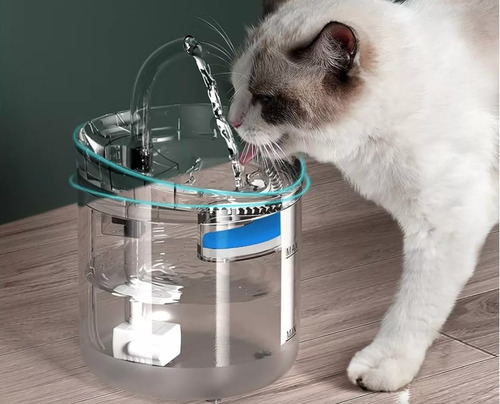 Fuente Para Gato Bebedero Para Regalones Color Trasparente