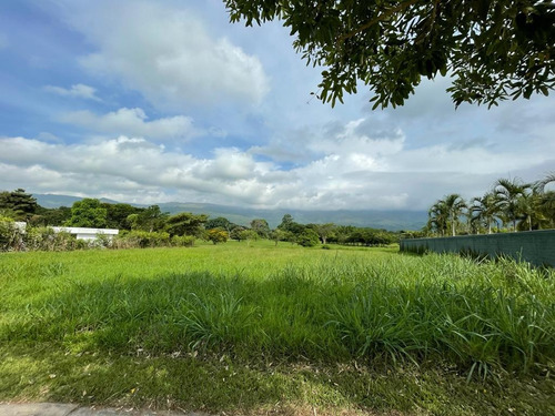 Imagen 9 de 14 de En Venta Terreno En Hato Royal
