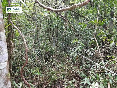 Imagem 24 de 24 de Chácara À Venda No Bairro América De Cima - Morretes/pr - 269