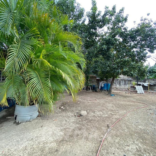 Imagen 11 de 11 de En Venta, Casa Con Amplio Terreno Ubicado A Una Cuadra De La Avenida Intercomunal, Urbanización César Rodríguez Palencia, Sector Morita I, Referencia A Dos Cuadras De Makro Y Red Vital