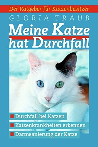 Meine Katze Hat Durchfall Katzenkrankheiten Erkennen Ratgebe