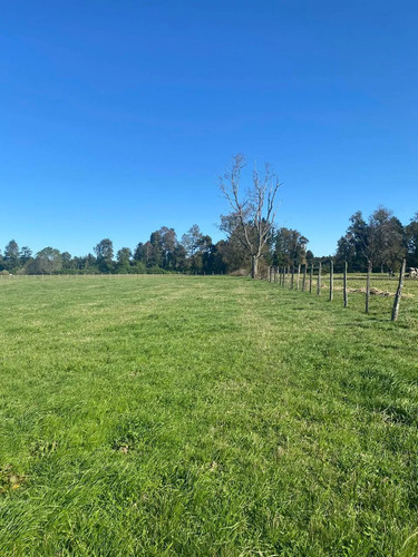 Se Vende, Parcela 2,1 Hectáreas Región De Los Lagos