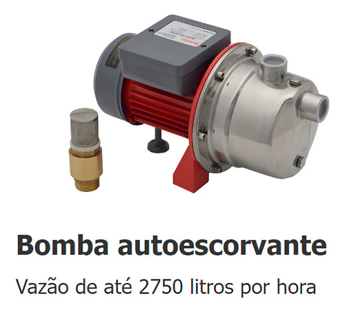 Bomba De Agua Autoaspirante Eletrica Bb500ai 0,5cv Bivolt Cor Vermelho