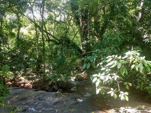 Imagem 10 de 15 de Chácara Para Venda Em Igrejinha, Voluntária Baixa - Cwvcr0133_2-1400751