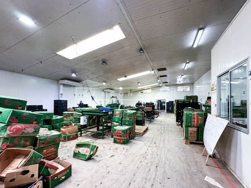 Bodega En Cerro Navia