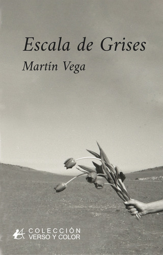 Libro Escala De Grises - Vega, Martã­n