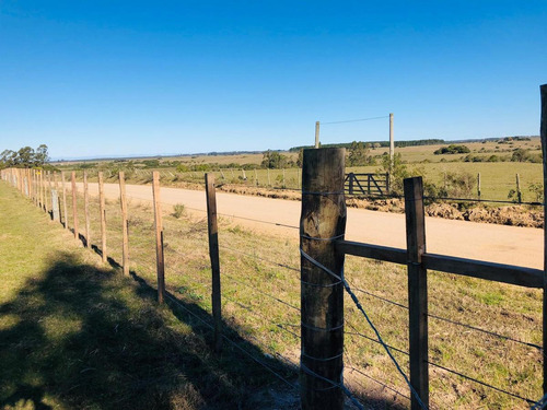 Chacra - José Ignacio
