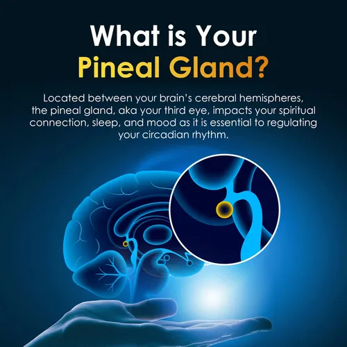 Suplemento Nutraville Pineal Guard X Gland Pineal Gland 60 M
