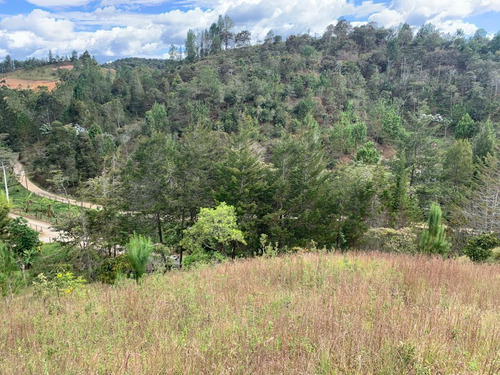 Se Vende Lote, Vereda El Portento En El Retiro