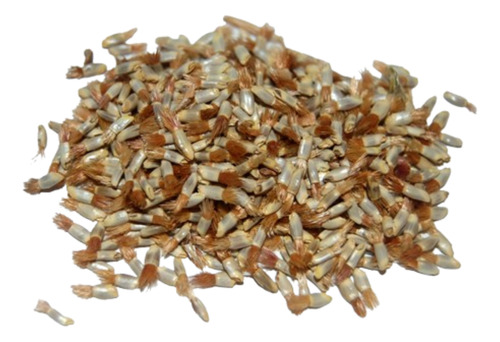 30 Semillas Centaurea Doble Mix - Premium