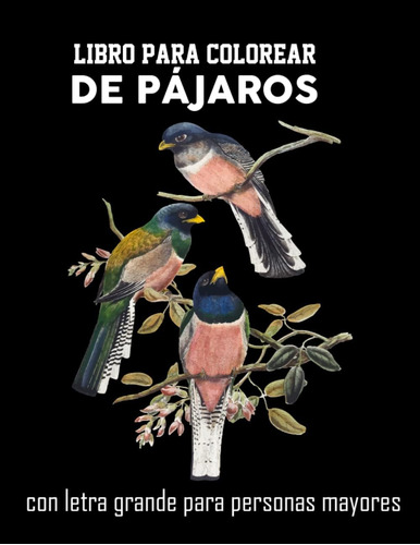Libro: Libro Para Colorear De Pájaros Con Letra Grande Para 