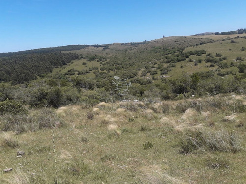 Imagen 9 de 16 de Campo En Carape - Departamento De Maldonado - Carape
