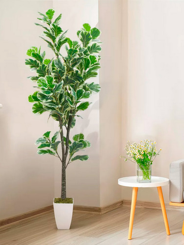 Hoja De Higuera C/borde Blanco Arbol Artificial 1.9m+maceta