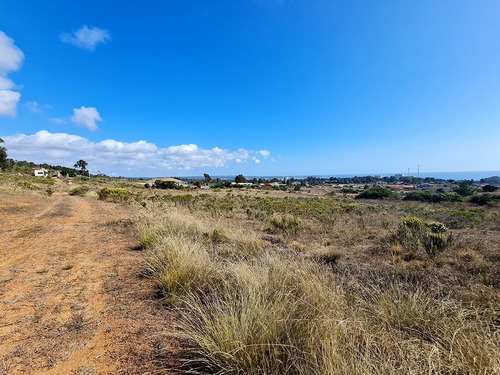 Imagen 21 de 25 de Parcelas De 5.000 Con/sin Vista Mar En Condominio Algarrobo