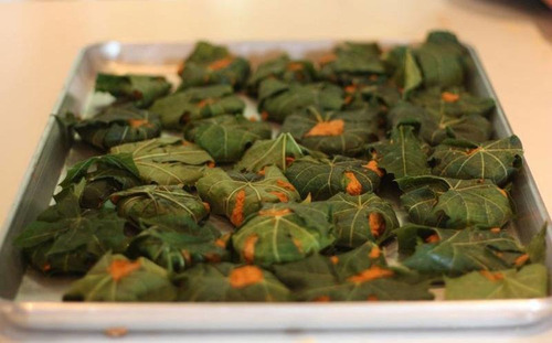 500 Gramos Chaya Partes Aereas Secas Infusion
