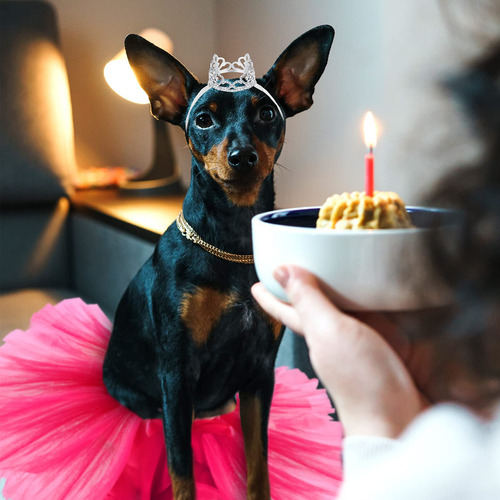 2 Pcs Dog Crown Headband Dog Tutu Dress Set Crystal