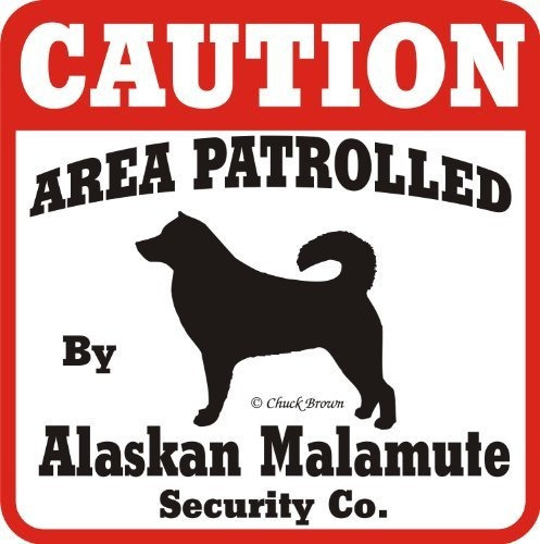 Yard Dog Muestra De La Precaución Área Patrullada Por Malamu