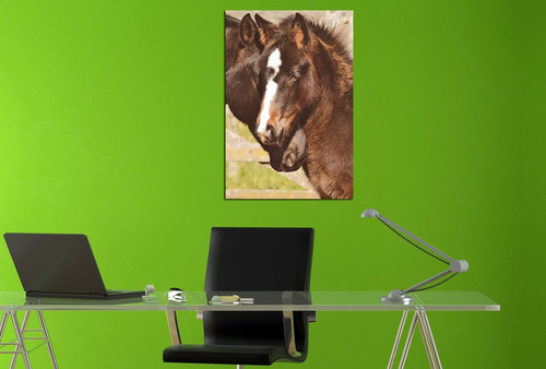 Vinilo Decorativo 40x60cm Caballo Campo Horse Vinil M7