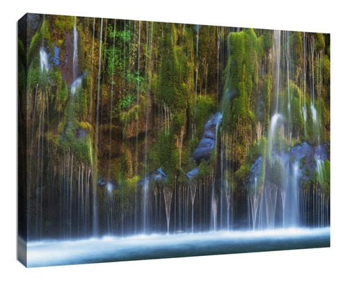 Cuadro Decorativo Canvas Naturaleza Paisaje Para Sala E Color Naturaleza Paisaje Para Sala 127 Armazón Natural