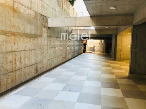 Arriendo Propiedad Para Fines Educacionales, Viña Del Mar