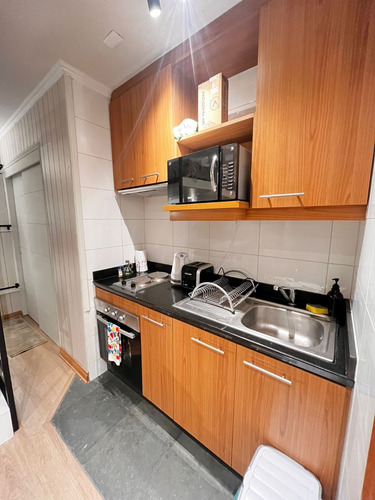 Home Studio En Arriendo En Valle Nevado