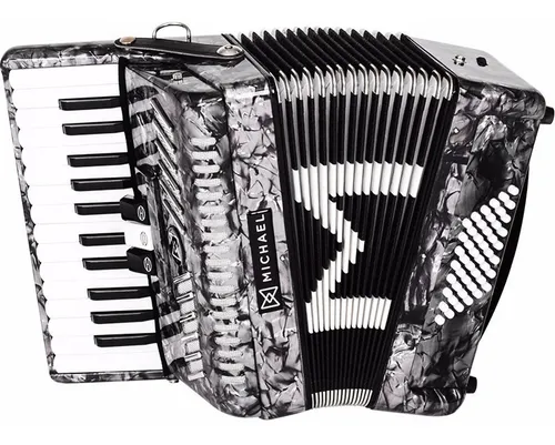 Sanfona Acordeon 48 Baixos Michael Acm4803n Pbk Com Case