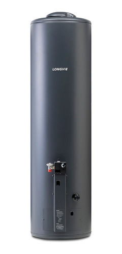 Imagen 1 de 2 de Termotanque A Gas Longvie Potenciado 132 Litros Tp600ap-n