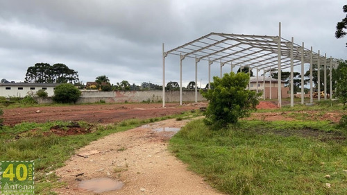Imagem 3 de 7 de Barracão Para Alugar - 00377.003