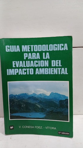 Guia Metodologica Para La Evaluacion Del Impacto Ambiental 