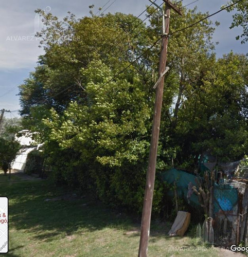 Imagen 5 de 6 de Terreno - Villa León
