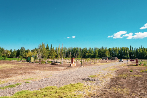 Imagen 9 de 26 de Terreno 1.000 M2 - B° Rincon De Natalia - Plottier