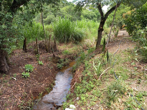 Imagem 12 de 18 de Sitio 21.000 M2 Em Cidade Turistica J.04