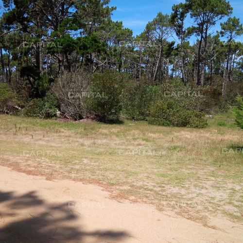 Imagen 4 de 8 de Terreno En Venta, En Balneario El Caracol, Laguna Garzón - Garzón Laguna Garzón