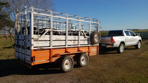 Acoplado Jaula 3 Metros Carro Vaquero Trailer Desmontable