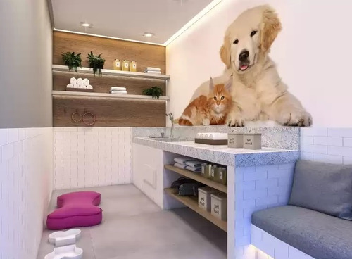 Imagem 7 de 10 de Apartamento À Venda No Bairro Vila Das Belezas - São Paulo/sp - O-11799-21384