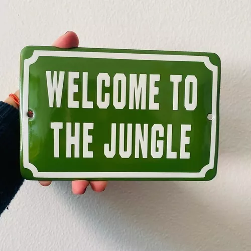 Qual é o correto: on the jungle ou in the jungle?