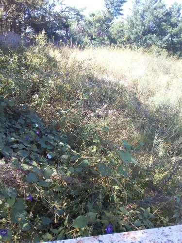 Terreno En Venta En San Antonio De Arredondo