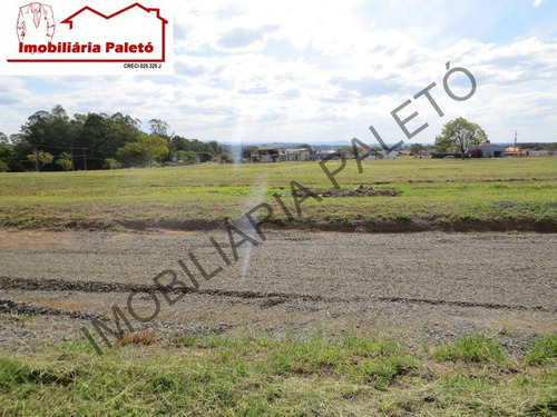 Imagem 2 de 5 de Terreno - 2264 - 69489541