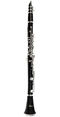 Imagem 3 de 8 de Clarineta Clarinete Benson Bcl-1bn 17 Chaves Com Case Luxo