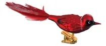 Comprar Kurt Adler Juego De Vidrio Rojo Samsung Galaxy S3 Mini I8190
