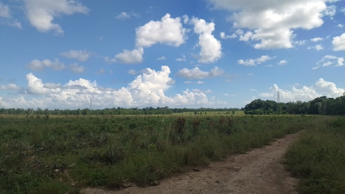 Vendo Finca En Cruce De Mela Monte Plata 1,027 Tareas Es Bordeada Por Una Carretera Con Su Tendido De Luz Por Todo El Frente, Tiene El Rio Por Un Costado
