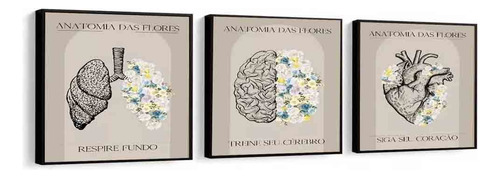Quadros Decorativos Anatomia Das Flores Com Vidro 60x60cm 