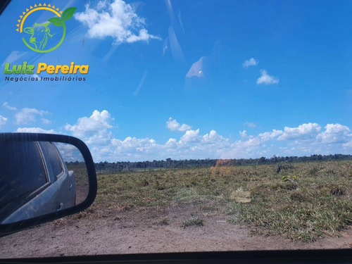 Imagem 9 de 15 de Fazenda À Venda Em Rondom - Pa - 11.000 Hectares (dupla Aptidão) - 1949