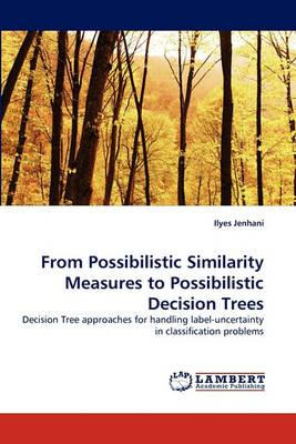 Libro From Possibilistic Similarity Measures To Possibili...